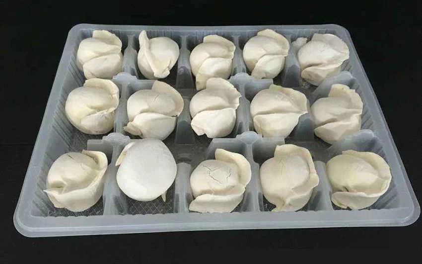 Frozen dumpling packing tray-PET plastic rolls