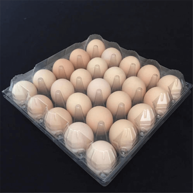 Egg tray - PET plastic sheet rolls